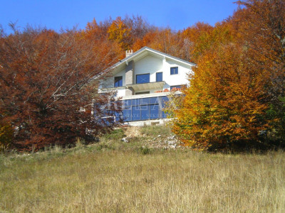 House, 400m², Plot 19500m²