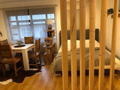 1 rooms, Apartment, 30m², 1 Floor