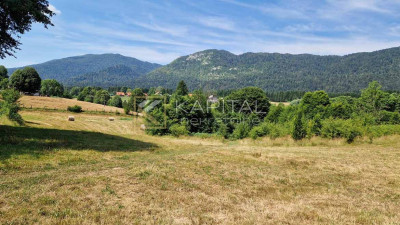 1550m², Plot