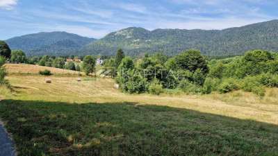 1550m², Plot