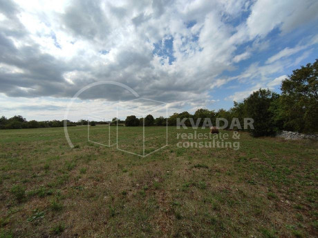 9964m², Plot