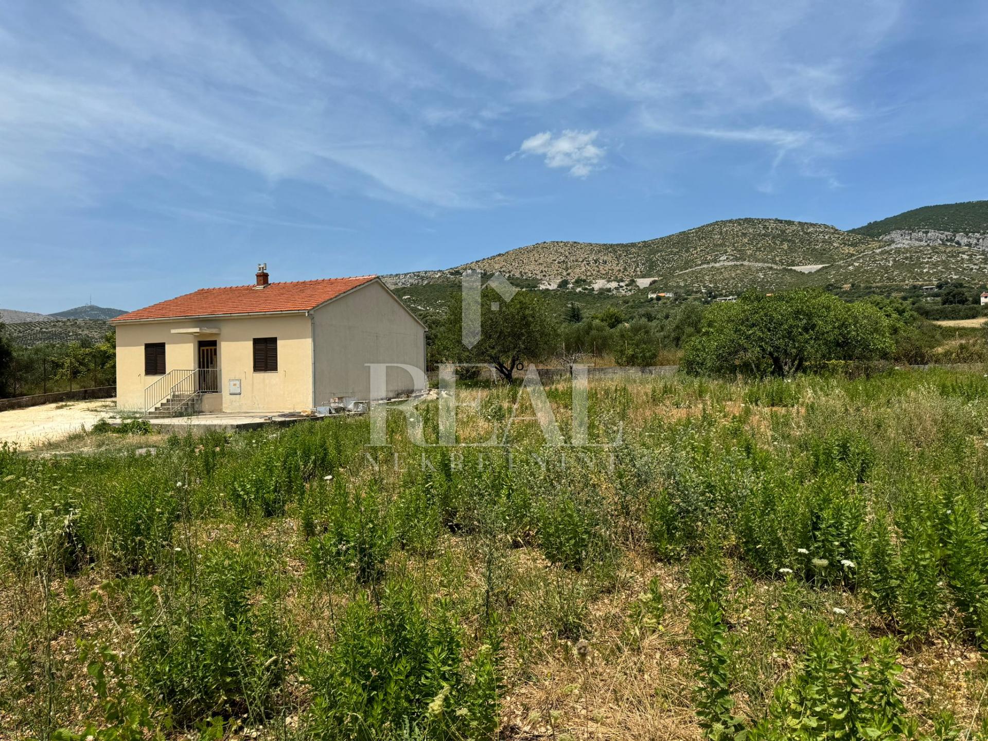 2425m², Plot