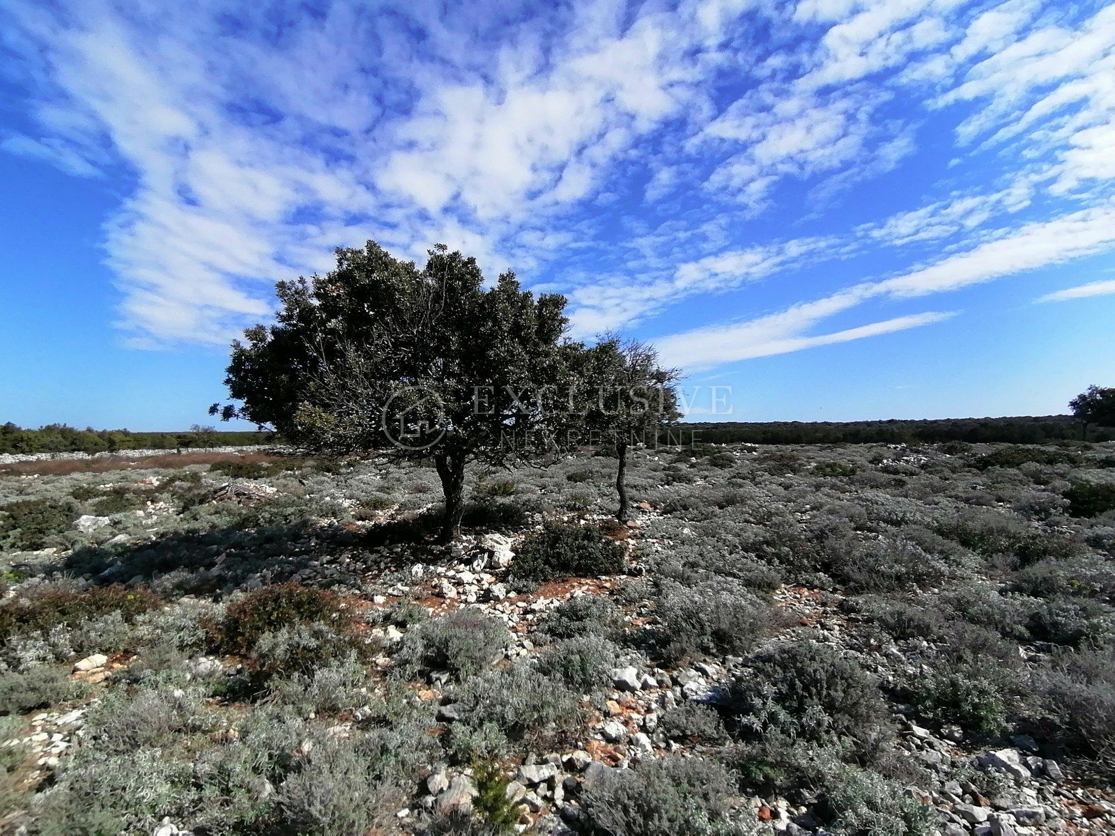 76000m², Terreno