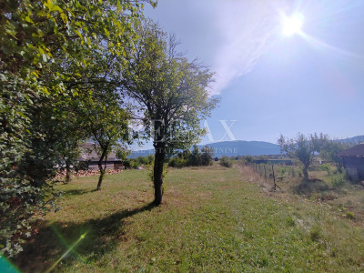 6200m², Plot