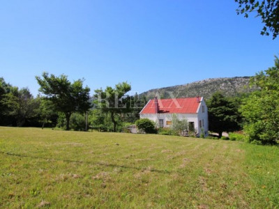 896m², Plot