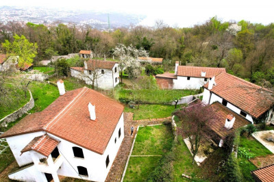 Kuća, 860m², Zemljište 9600m²