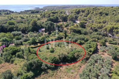 1800m², Plot