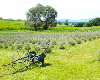 Kuća, 150m², Zemljište 11000m²