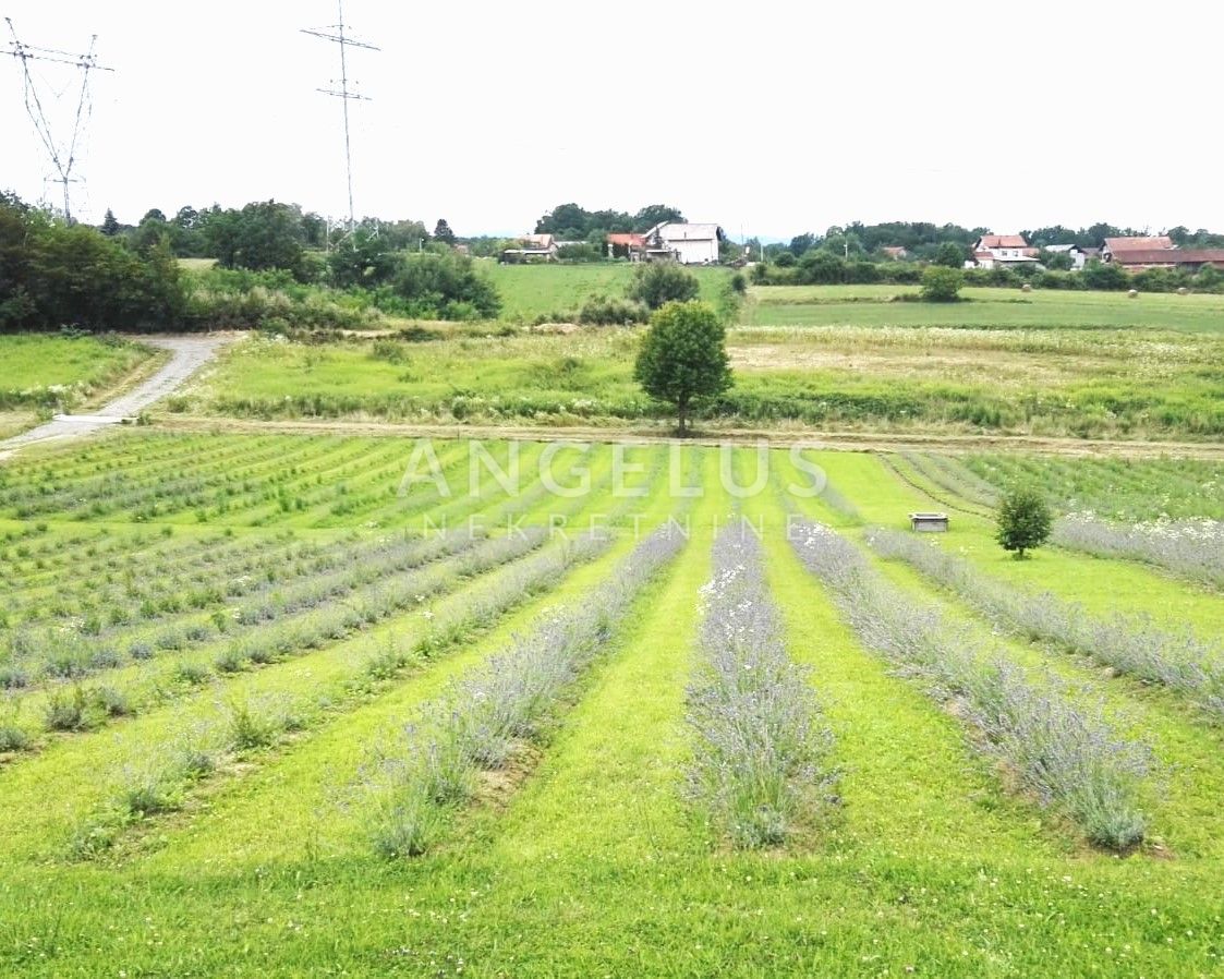 House, 150m², Plot 11000m²