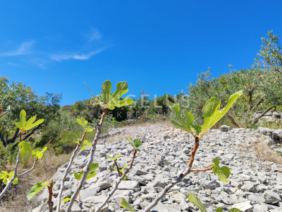 1300m², Zemljište