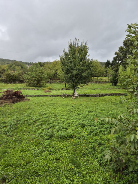 1195m², Plot