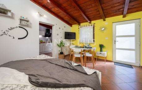 1-locale, Appartamento, 35m², 1 Piano